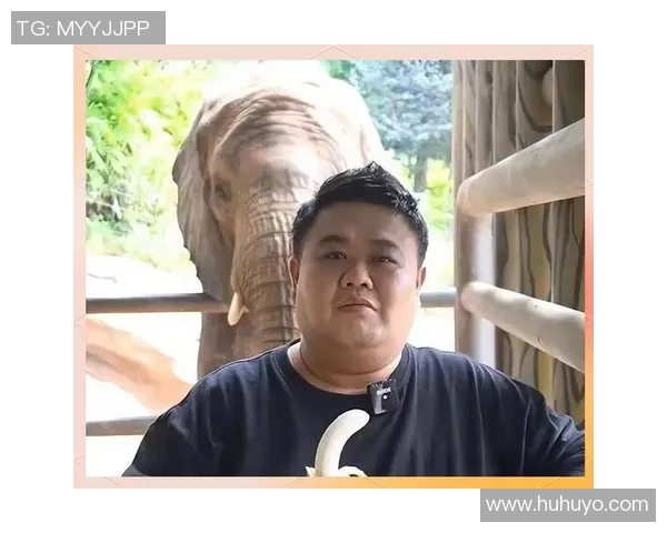 中国篮球明星孙越的传奇人生与辉煌成就揭秘